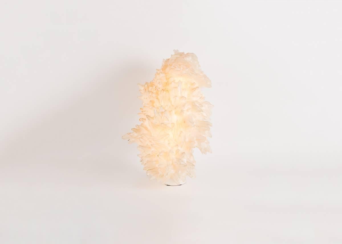La serie Soma comprende sculture di luci, realizzate applicando una membrana auto-intrecciante su una struttura unica fatta di sottili bacchette di vetro secondo la tecnica tradizionale della lavorazione a lume. Come ispirazione per queste sculture