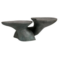 Emma Donnersberg & Abel Carcamo, Callisia, Bronze Coffee Table, France, 2022