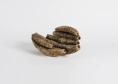 Jaime Rodríguez Crespo, Escultura Arrecife Plátano, Puerto Rico, 2005