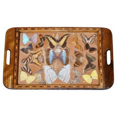 VASSOIO DA SERVIZIO CON COLLEZIONE DECORATIVA VINTAGE DI ALI DI FARFALLA MORPHO