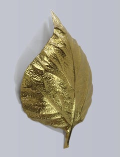 Pair of Large Brass Leaf Sconces by Tommaso Barbi