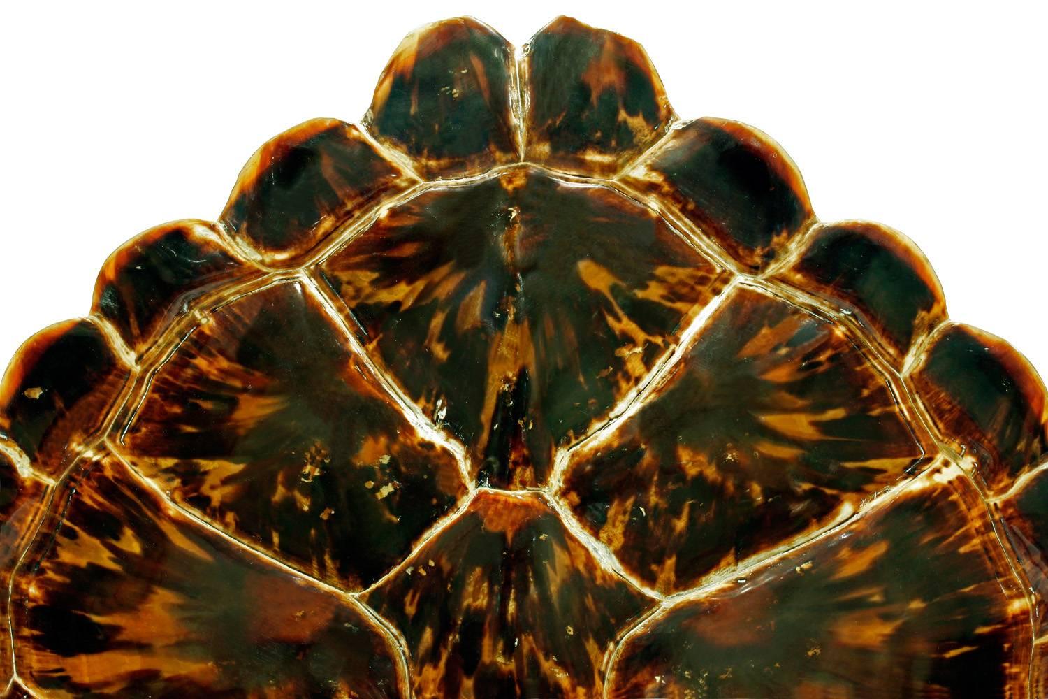 Modern Karl Springer Mounted Tortoise Shell, 1970s