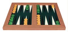Backgammon Game Board Covered in Snake Skin by Karl Springer