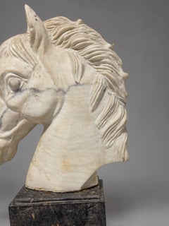 Grand Tour–Style Marble Horse Head on a Marble Plinth, Italian C. 1900
