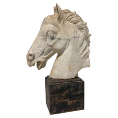 Grand Tour–Style Marble Horse Head on a Marble Plinth, Italian C. 1900