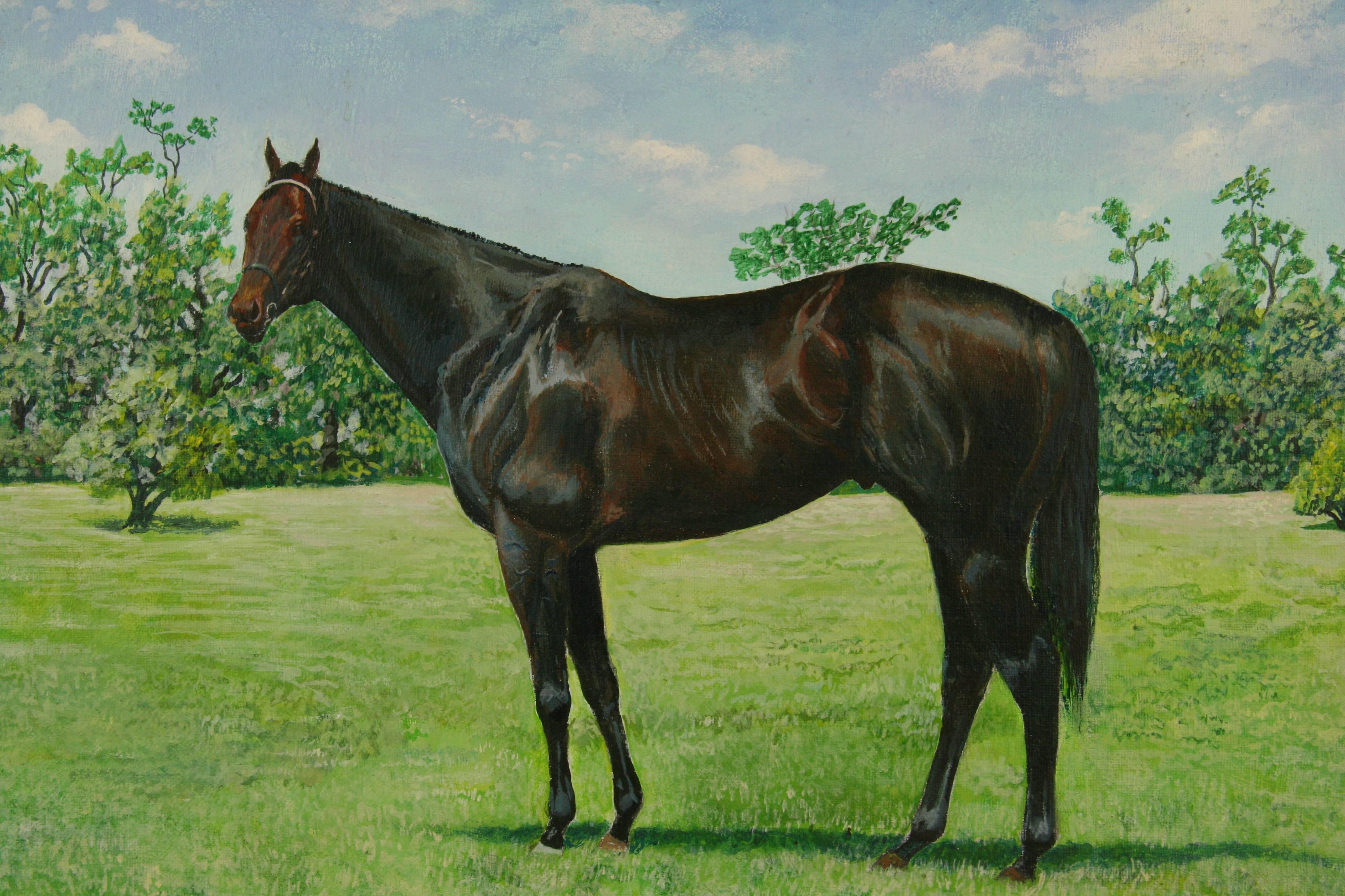 5-2543 Thoroughbred Painting stunning oil painting on board of a black horse, set in a black -wood frame 
Signed lower right frame. by Frame 
Image size 16 H x 20 W.