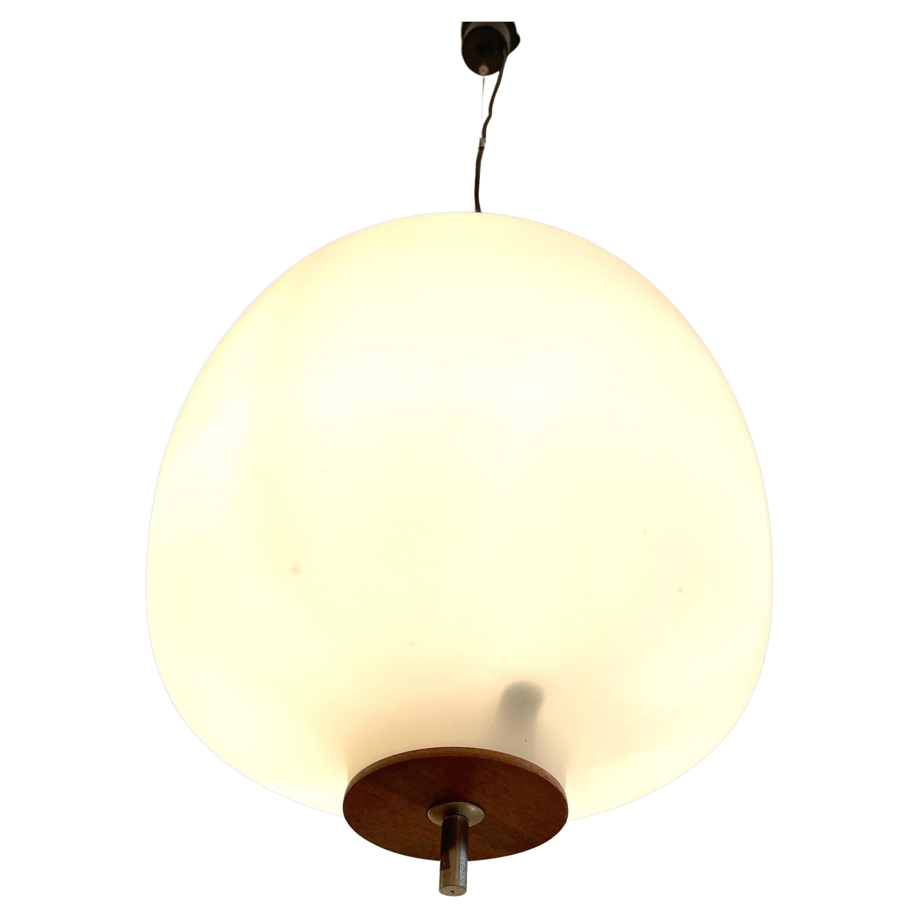 Mid-Century Modern Pendentif de Goffredo Reggiani, design 1960 en vente