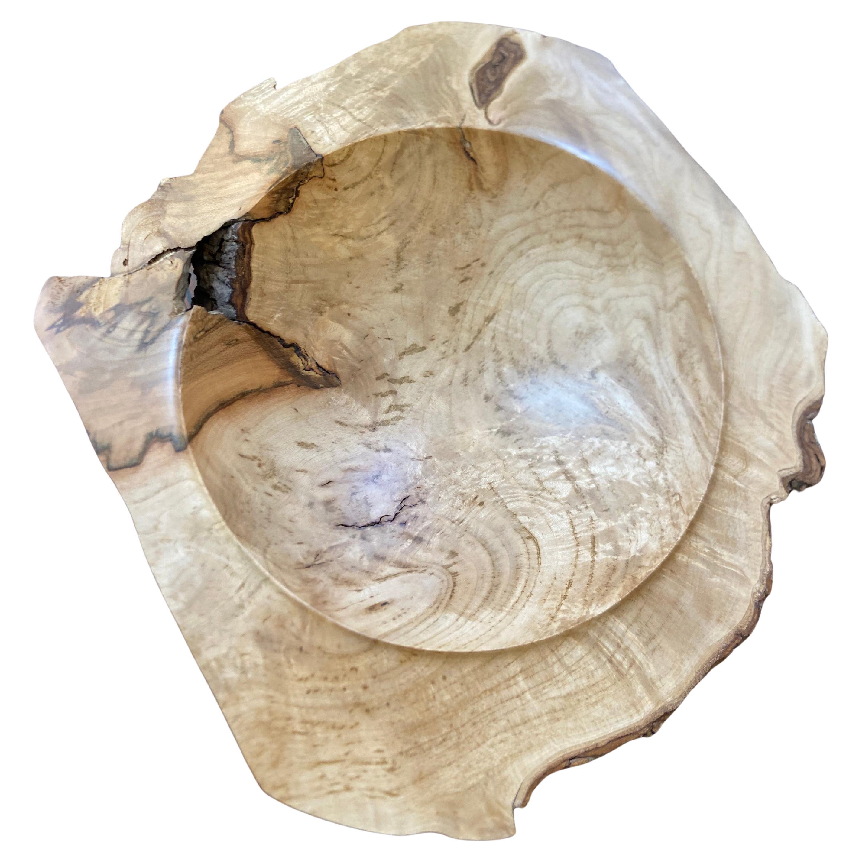 XXI secolo e contemporaneo Vassoio tascabile in legno di Beeche di Ralph Ribour in vendita