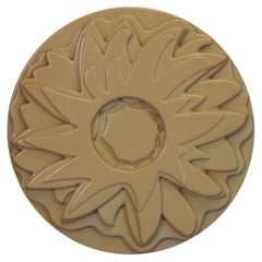 Lámpara de pared «Dalia» de Gino Marotta o panel luminoso para el Centro de Diseño, década de 1960