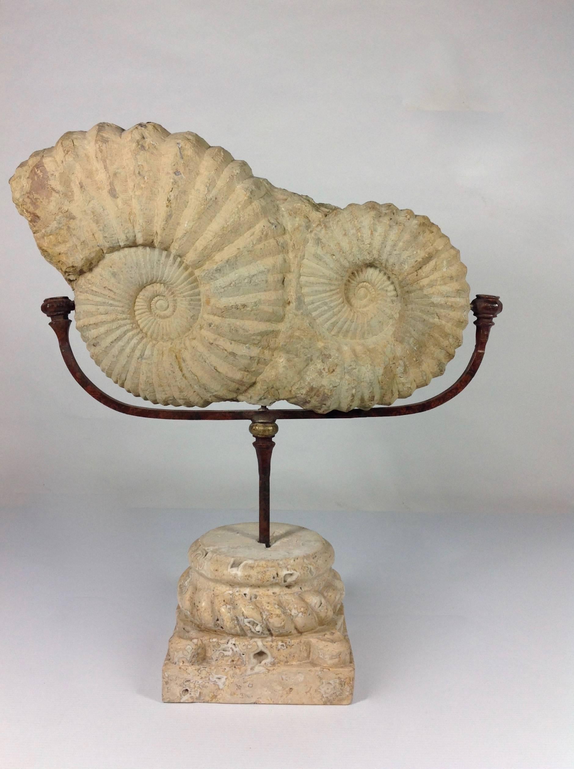 Ammonite Fossil on Iron and Marble Base For Sale 2