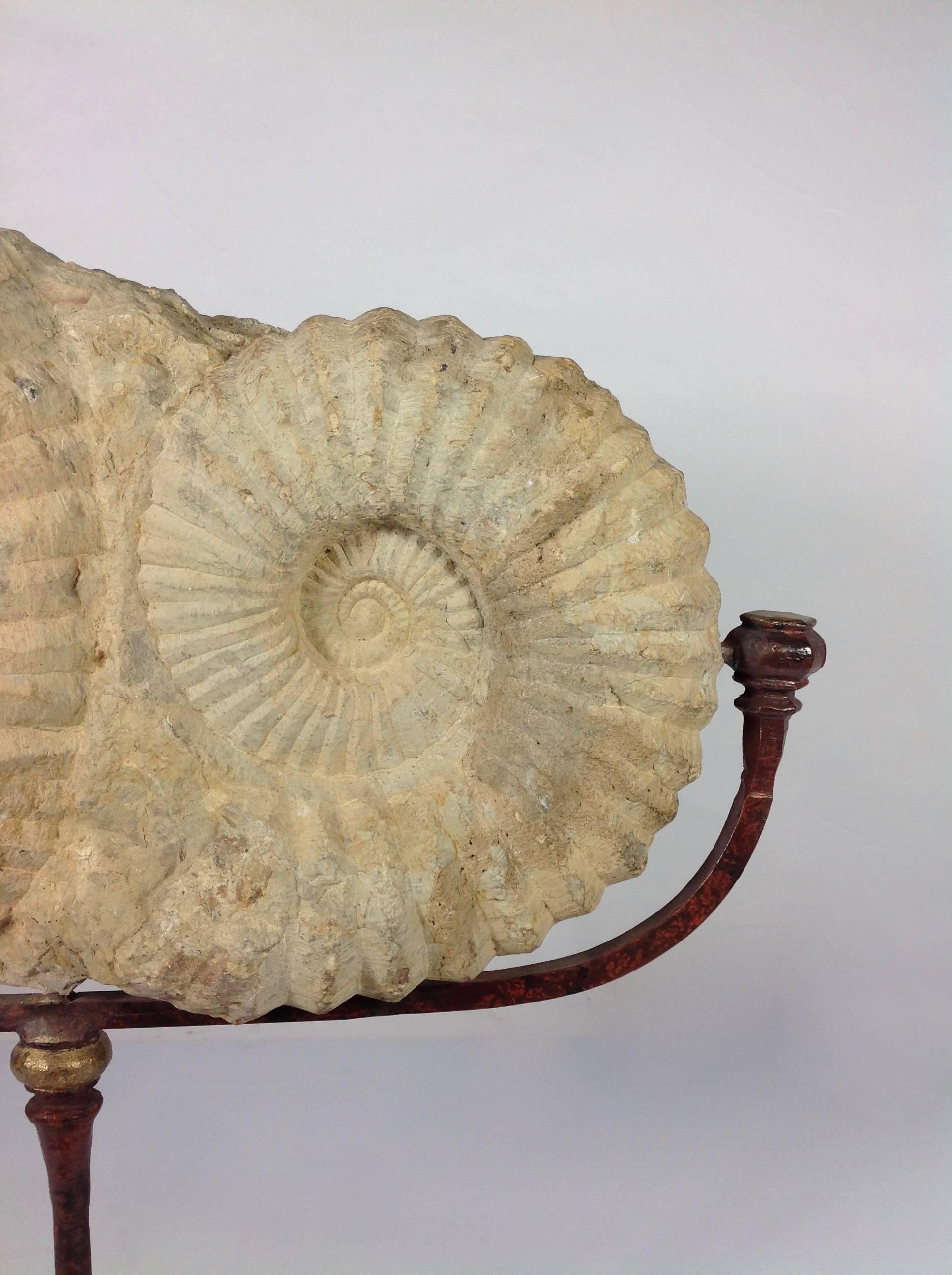 Ammonite Fossil on Iron and Marble Base For Sale 1