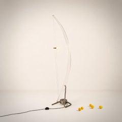 Aleix Meise, Acro Nero or Bollum floorlamp 1980