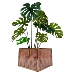 1970s Lucite, Cane and Brass Cachepot Planter in the style of Dior Home