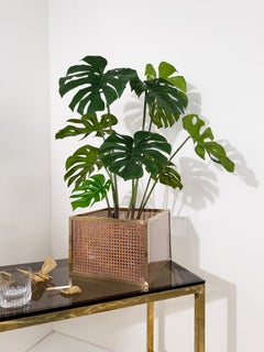 1970s Lucite, Cane and Brass Cachepot Planter in the style of Dior Home