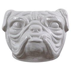 Italian Mid 20th Century Sculptural Pug Dog Head Planter in White Glazed Ceramic