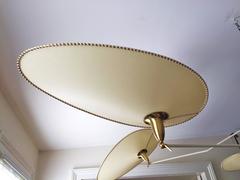 Magnificent Pendant / Ceiling Light by Diego Mardegan