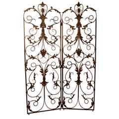 Louis XV Doors and Gates