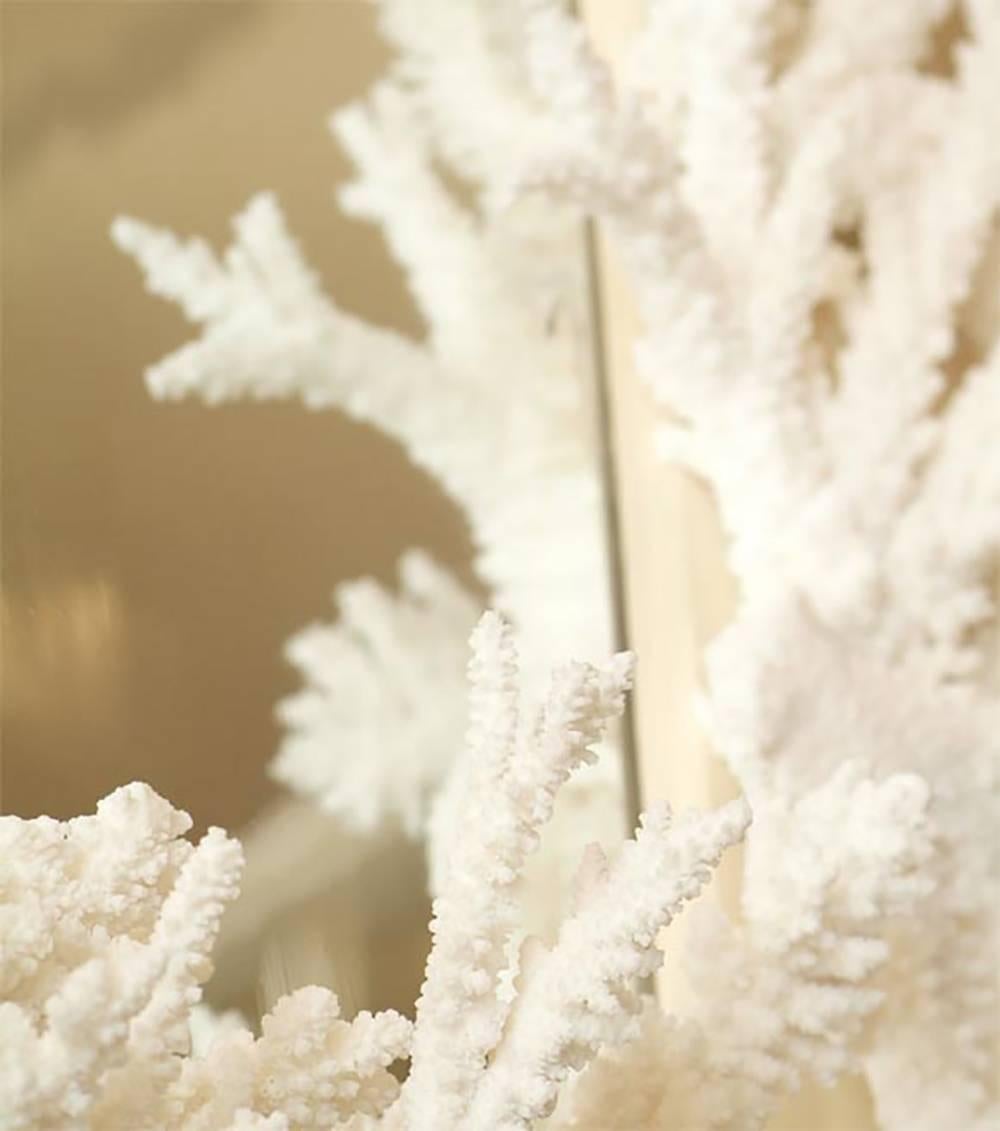 white coral mirror