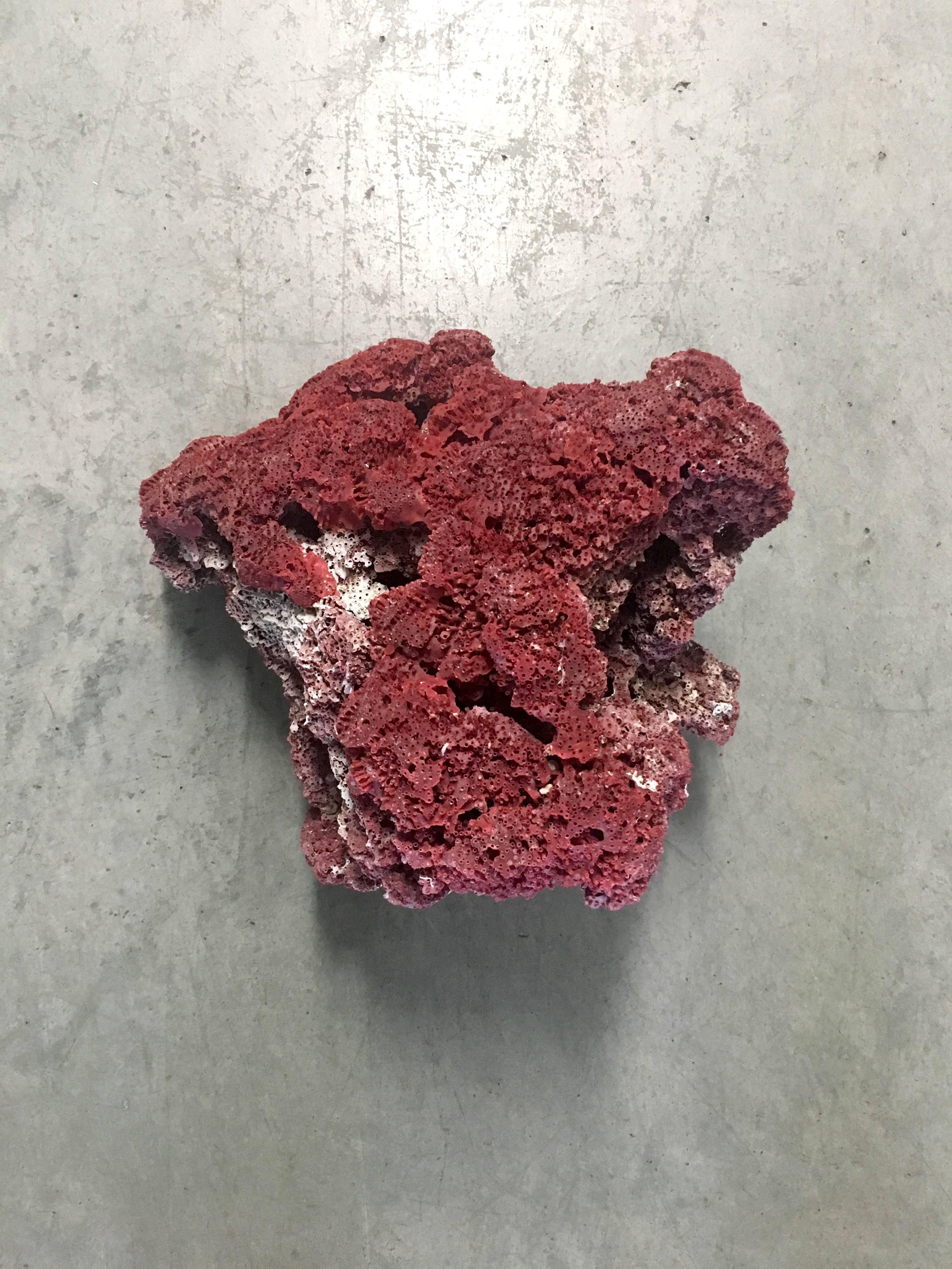 Contemporary Large Red Coral Specimen