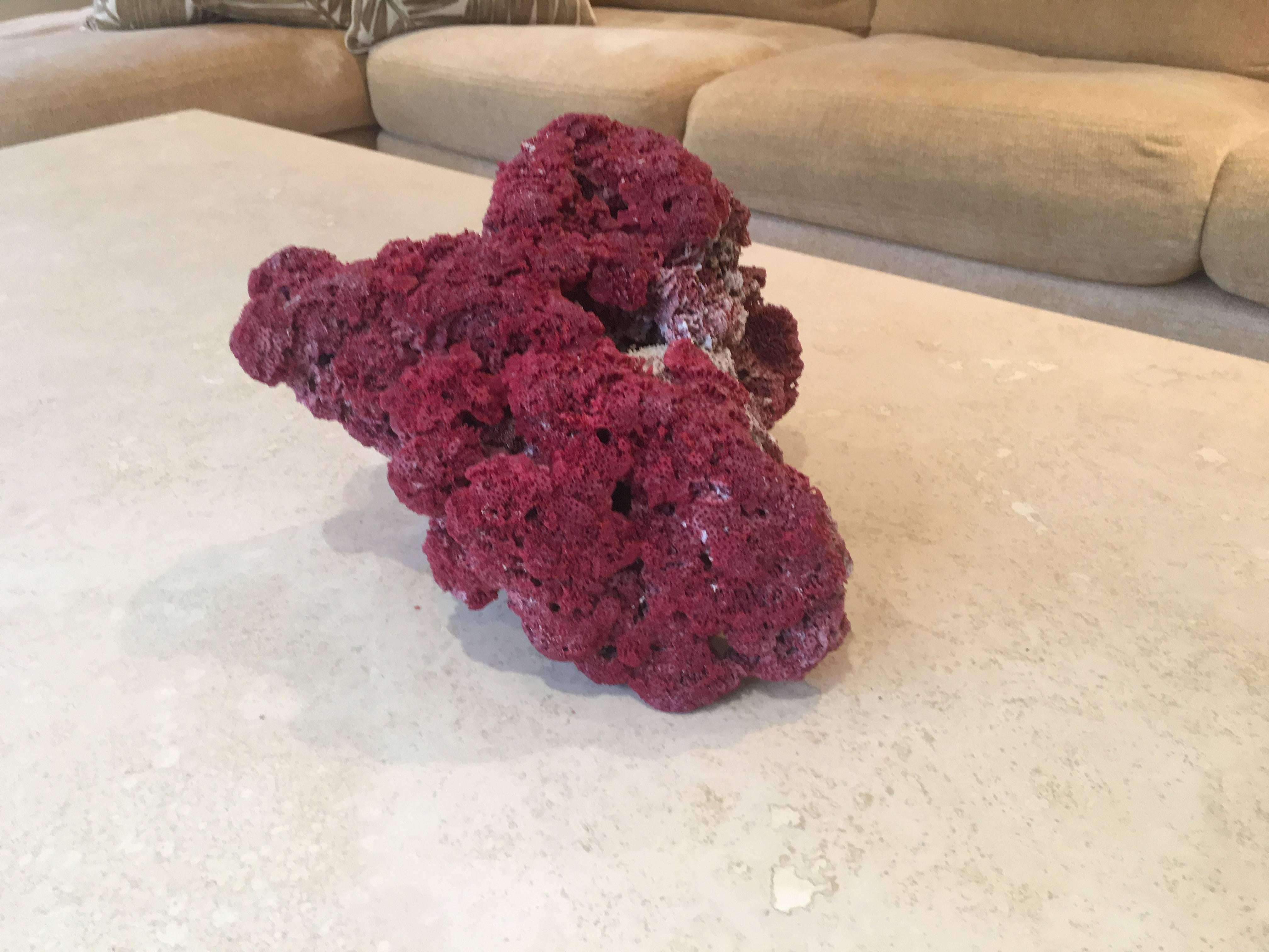 Large red coral specimen.