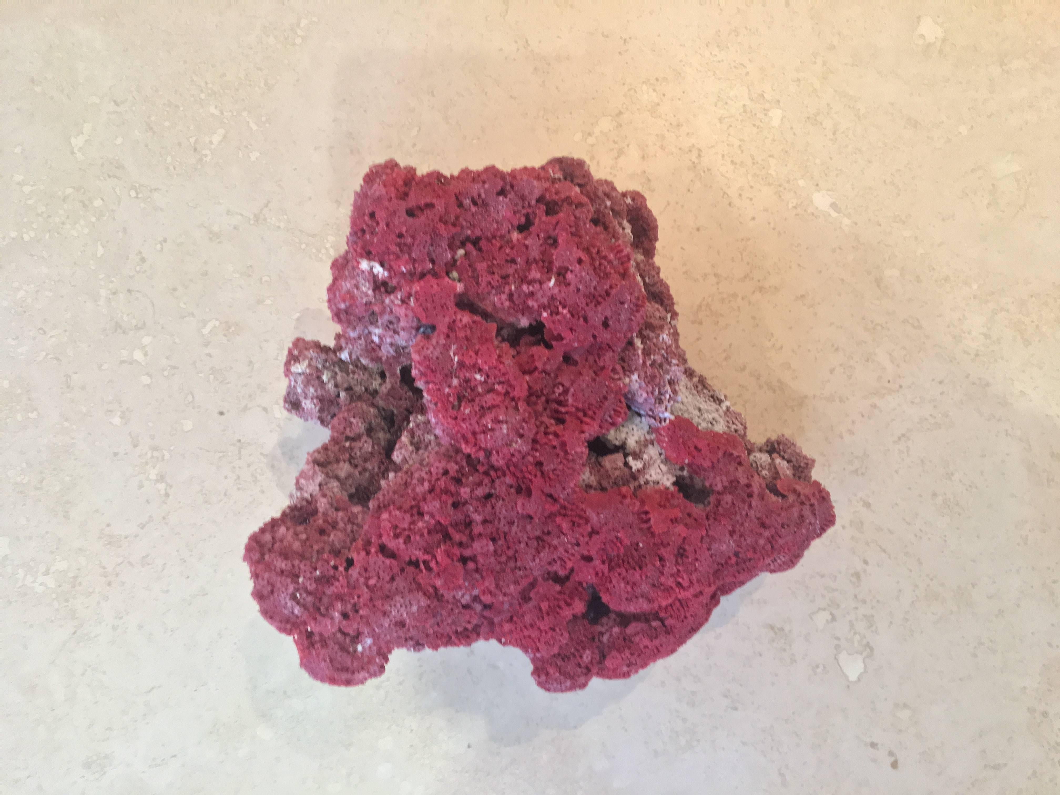 Large Red Coral Specimen In Excellent Condition In Larkspur, CA