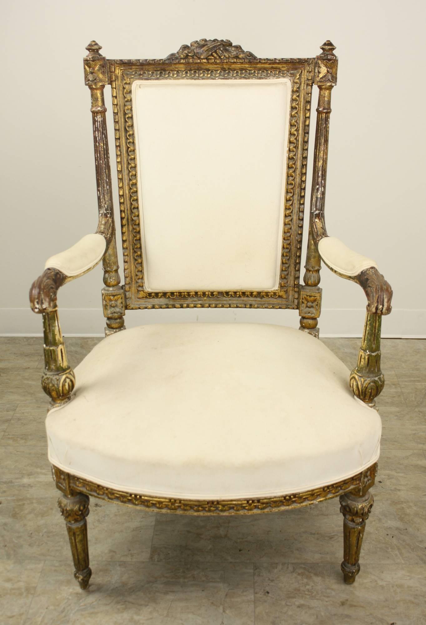 The gilding on these dramatic armchairs is beautifully worn, thus lending character and charm. Terrific carving is very well done, on all the wood surfaces. The comfortable upholstered seats are clean and new, with double welting for style. Very