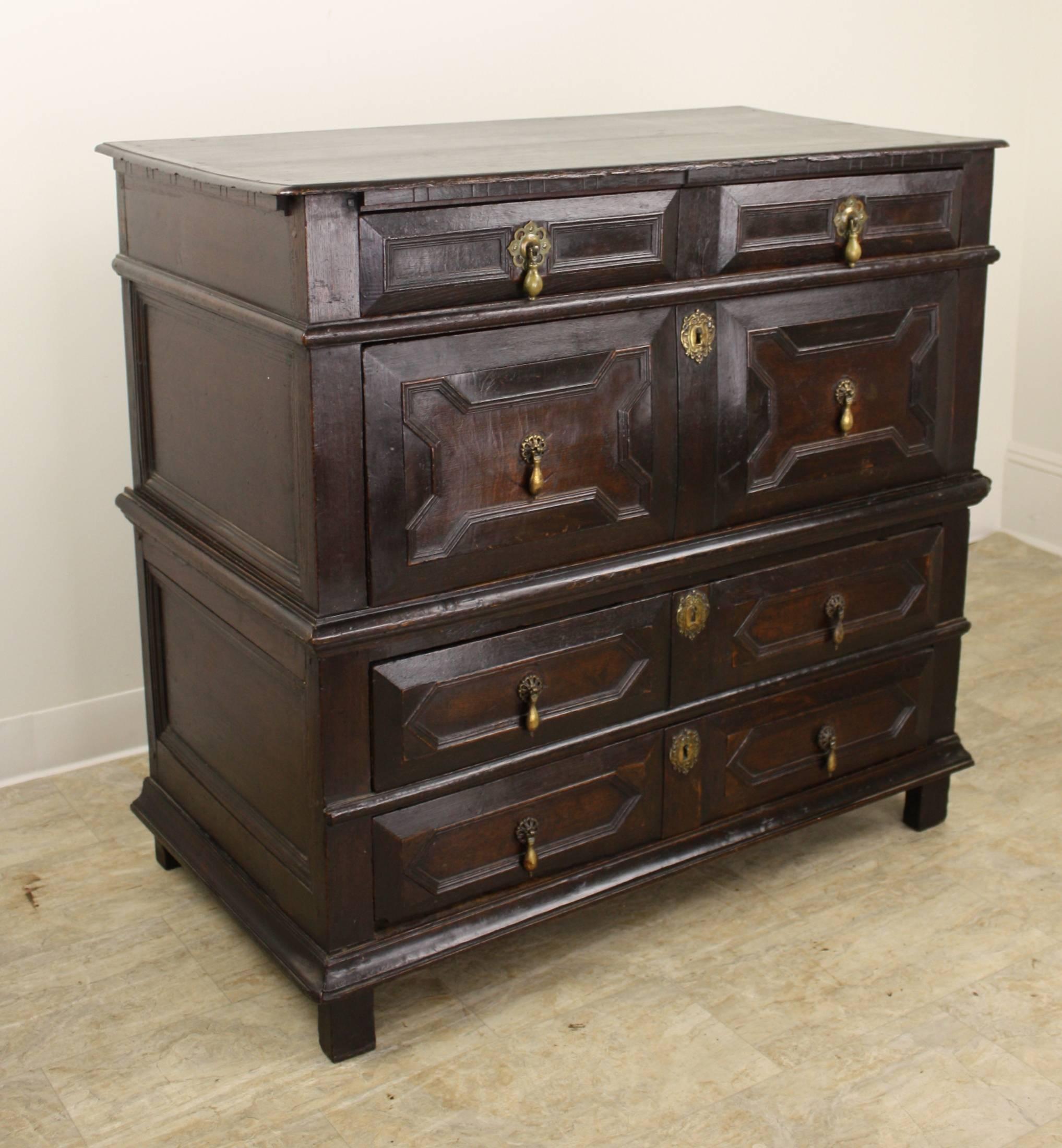 Dating from circa 1720, this large and stunning Classic Jacobean chest of drawers is dramatic and unique. The panels in the drawer fronts are a warmer color than the deeper, rich dark oak of the body, adding some contrast. The panels all around the