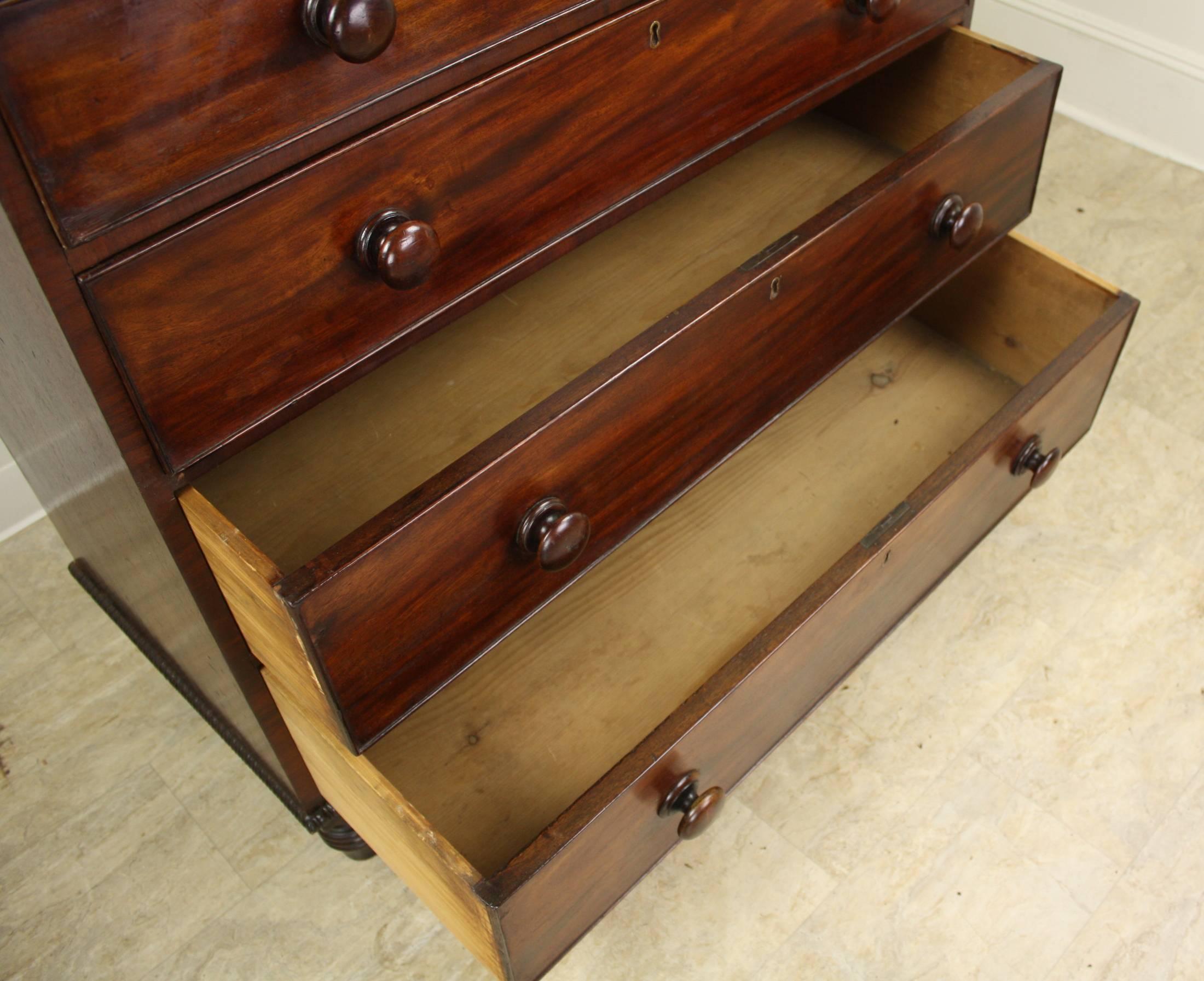 19th Century William IV Mahogany Bobbin Edged Chest of Drawers