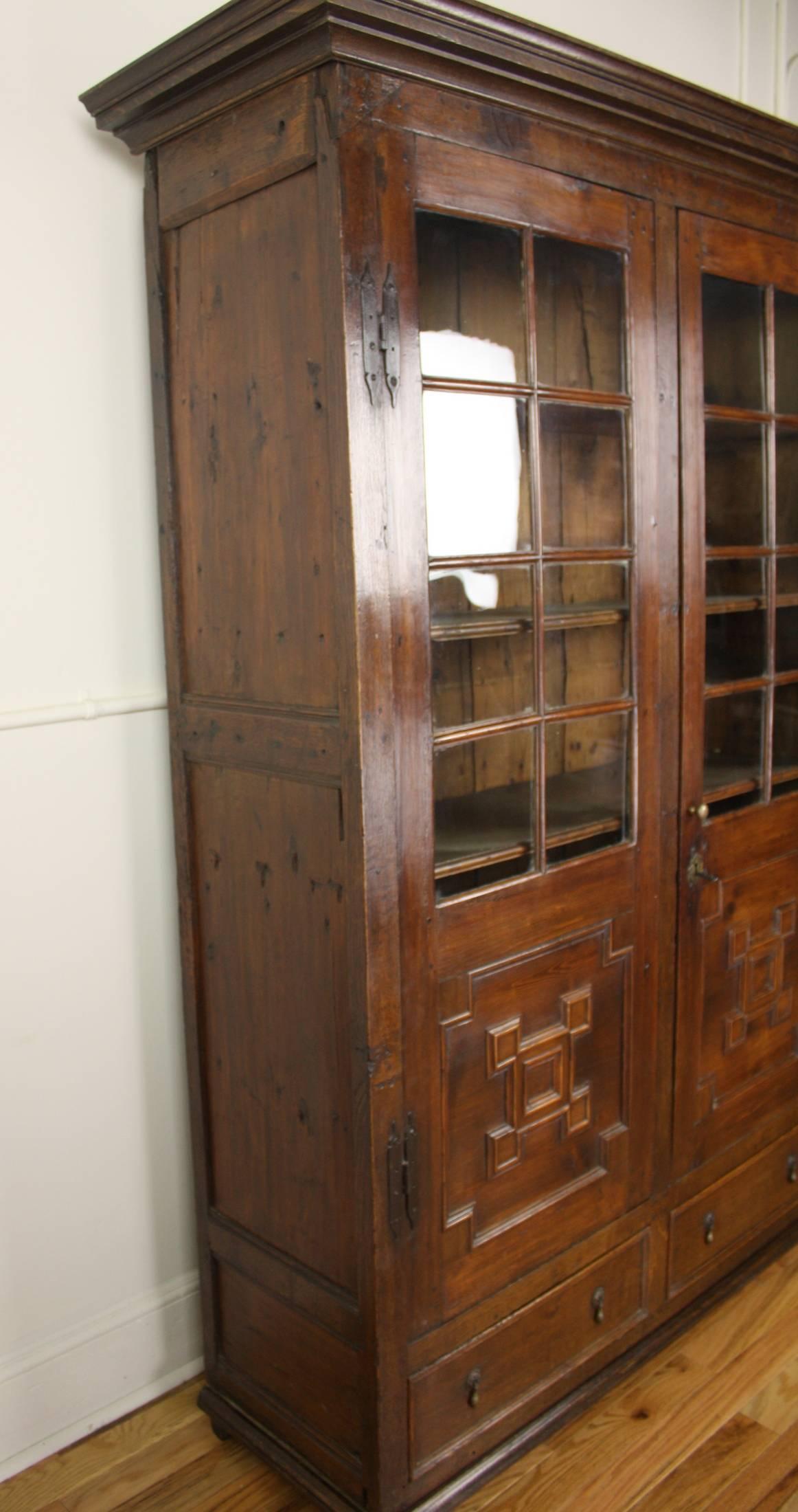 19th Century Antique Fruitwood and Oak Bookcase, Original Glass