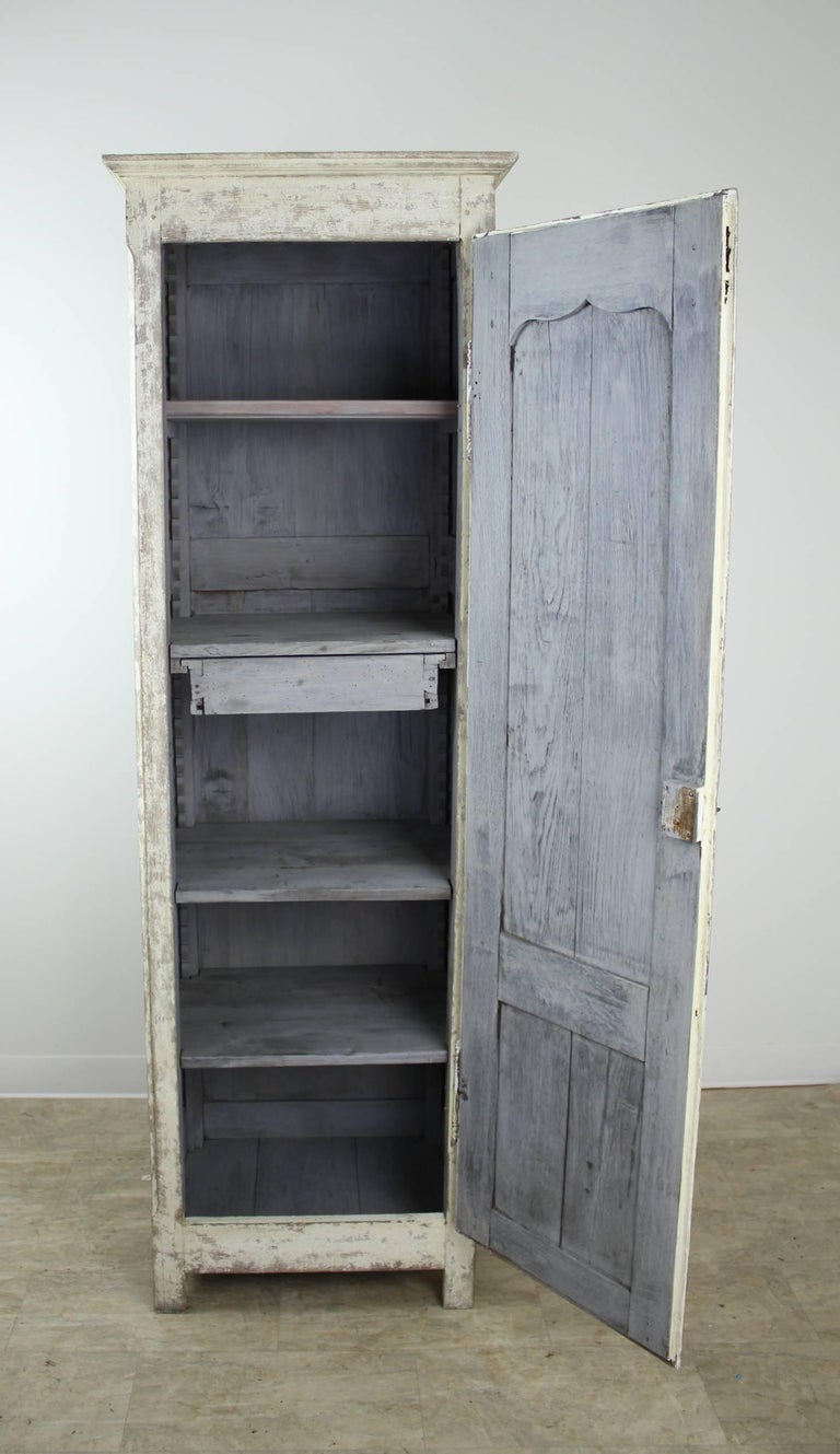 Narrow Antique Painted Chimney Cupboard in Oak at 1stDibs