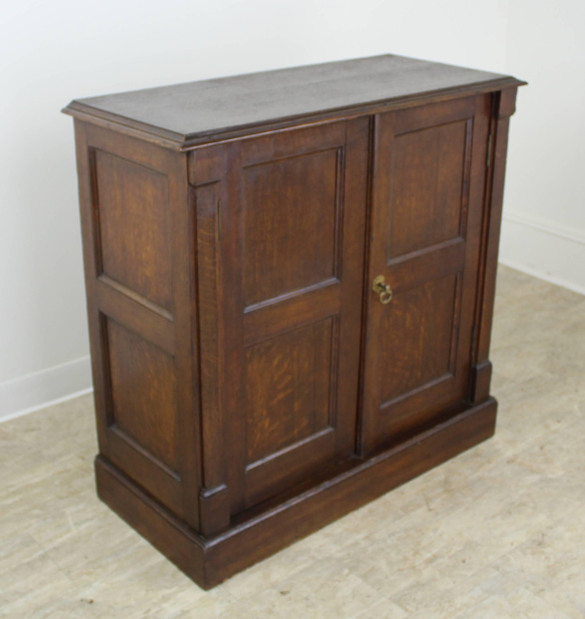 A small charming cupboard or cabinet from England. Lovely molding, inset panels, and baseboards in rich dark oak. The single interior shelf is not adjustable, though if removed, this would make an excellent television cabinet. Single brass pull on