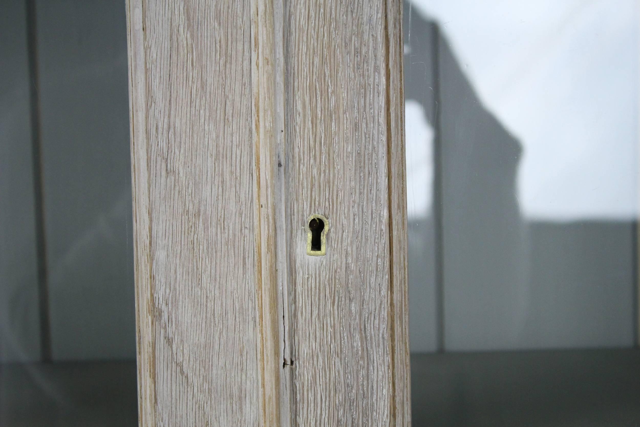 English Bleached Oak Library Bookcase 5