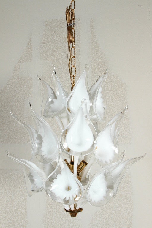 Elegant Calla Lily chandelier by camer.
The polished brass armature supports 22 handblown Murano glass flowers which are beautiful when illuminated by the six-light sources.