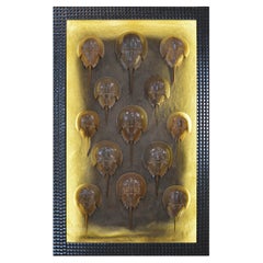 Monumental LED Shadowbox Art Diorama with Taxidermy Horseshoe Crabs, In Stock