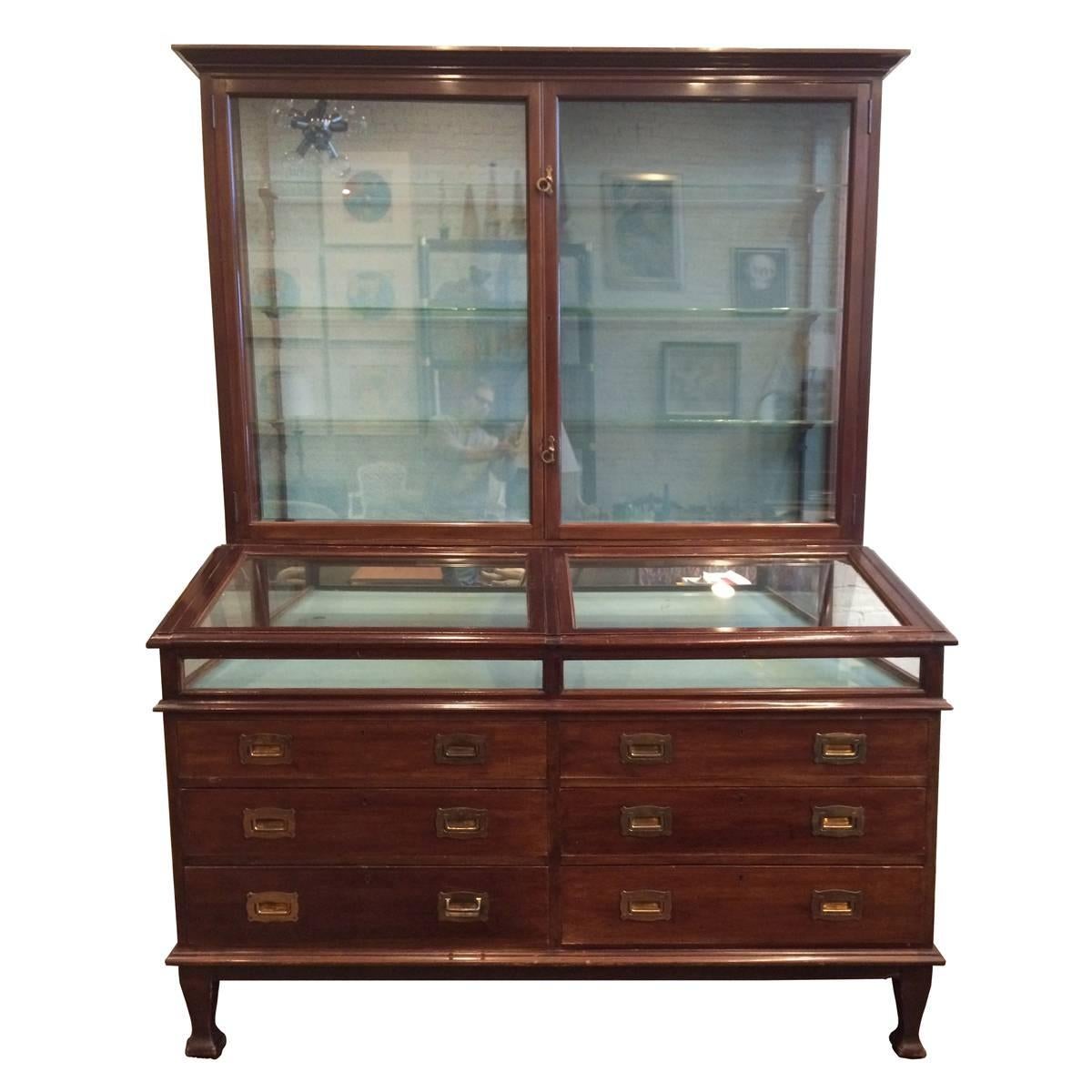 Large Edwardian Mahogany Collector's Cabinet For Sale