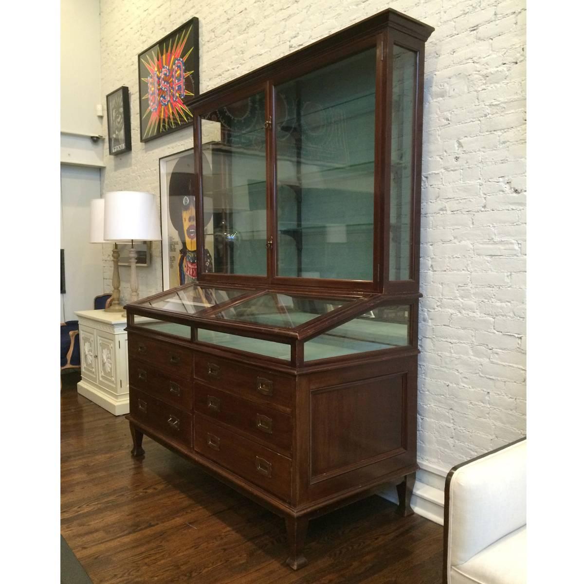 British Large Edwardian Mahogany Collector's Cabinet For Sale