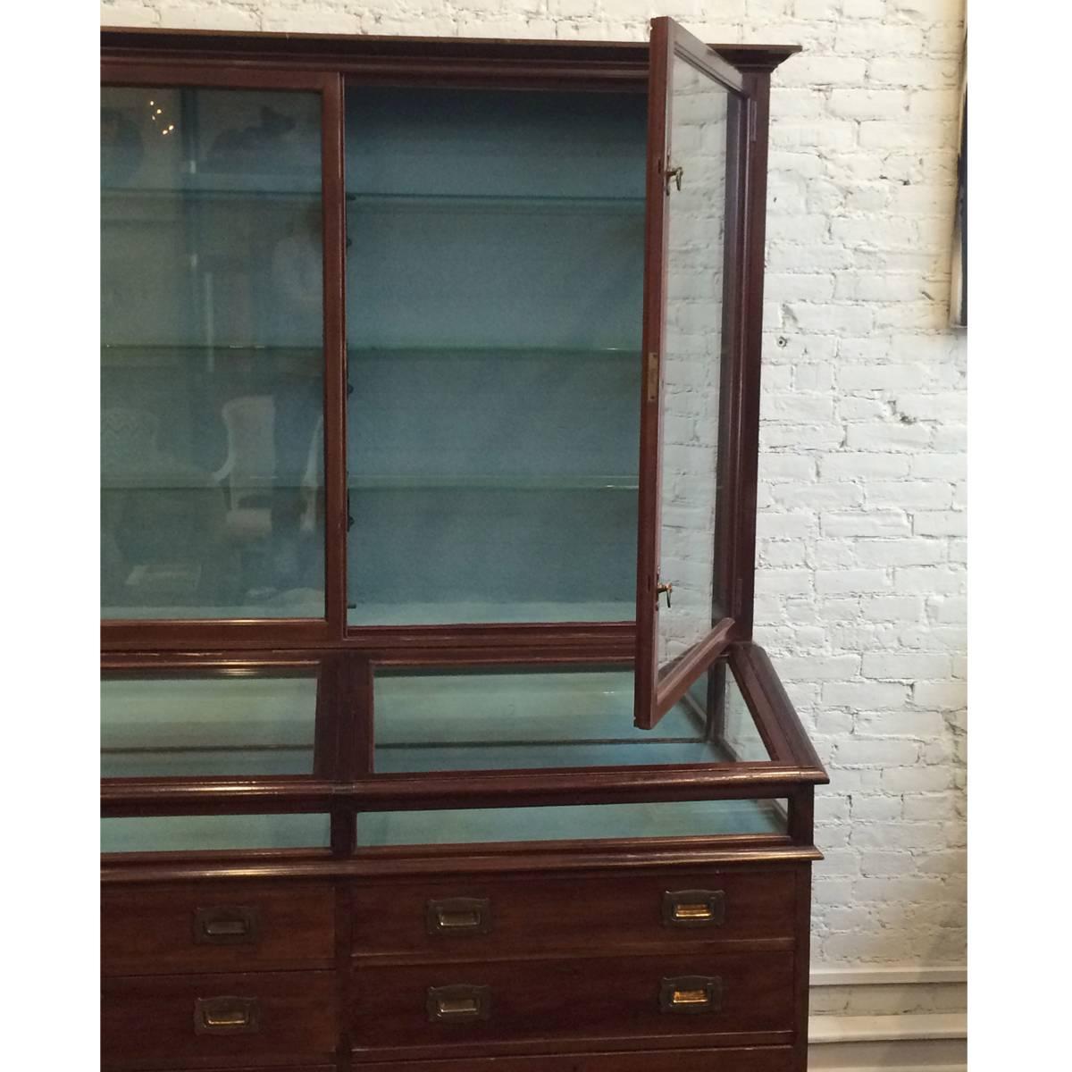 Large Edwardian Mahogany Collector's Cabinet In Good Condition For Sale In New York, NY