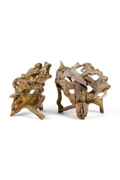 Un par de sillones ingleses de madera de raíz de teca de principios de los años 70