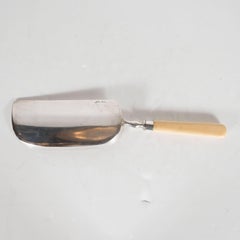 Victorian Silver Plate Cake Cutter with Bone Handle and Ornate Engravings