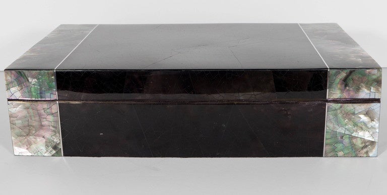 Exquisite Blacktab Shell Box with Tahiti Shell Ends and Silvered Inlay Trim 3