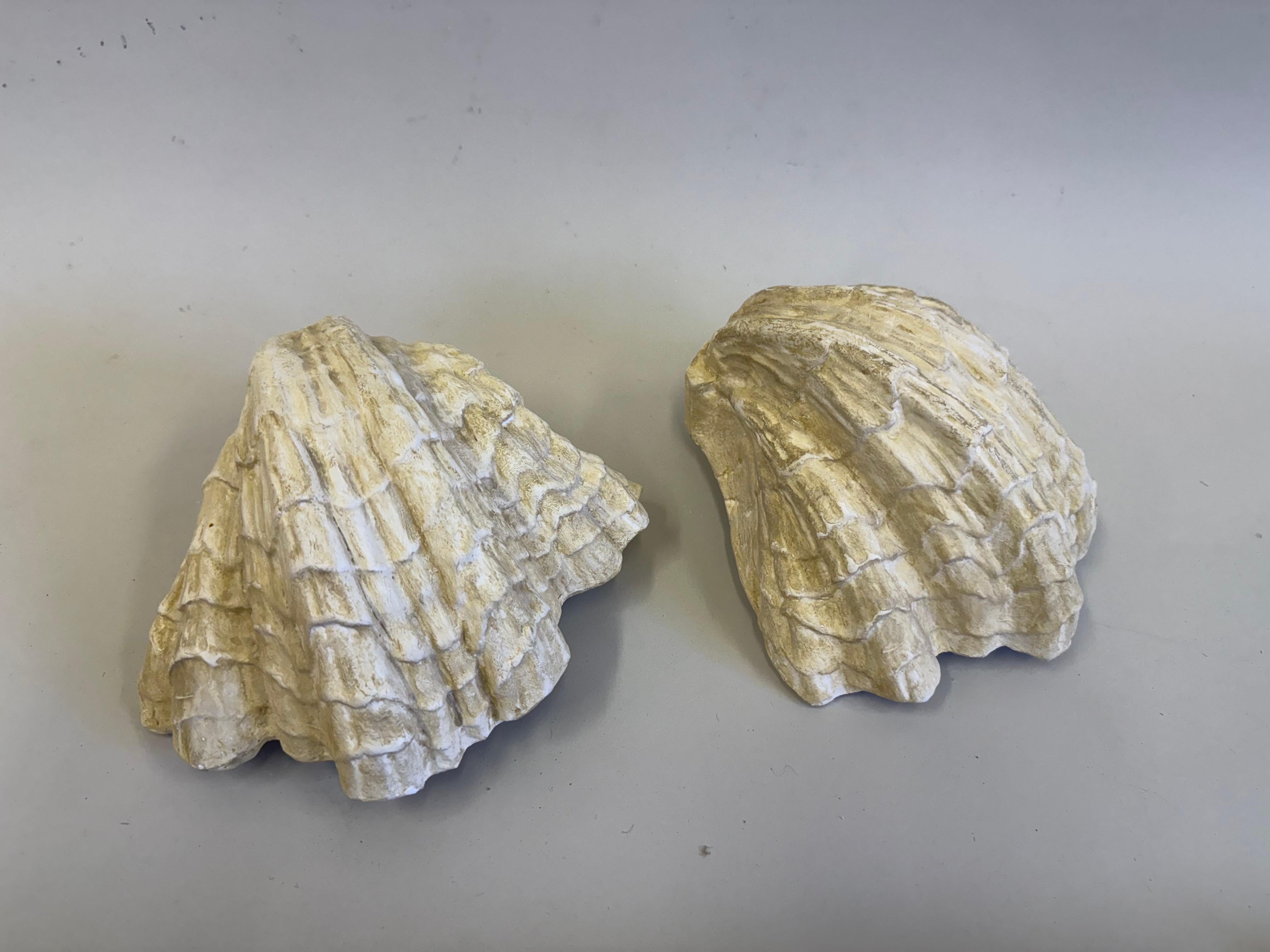 Pair of French Mid-Century Plaster Sconces by Serge Roche, France, 1930 For Sale 4