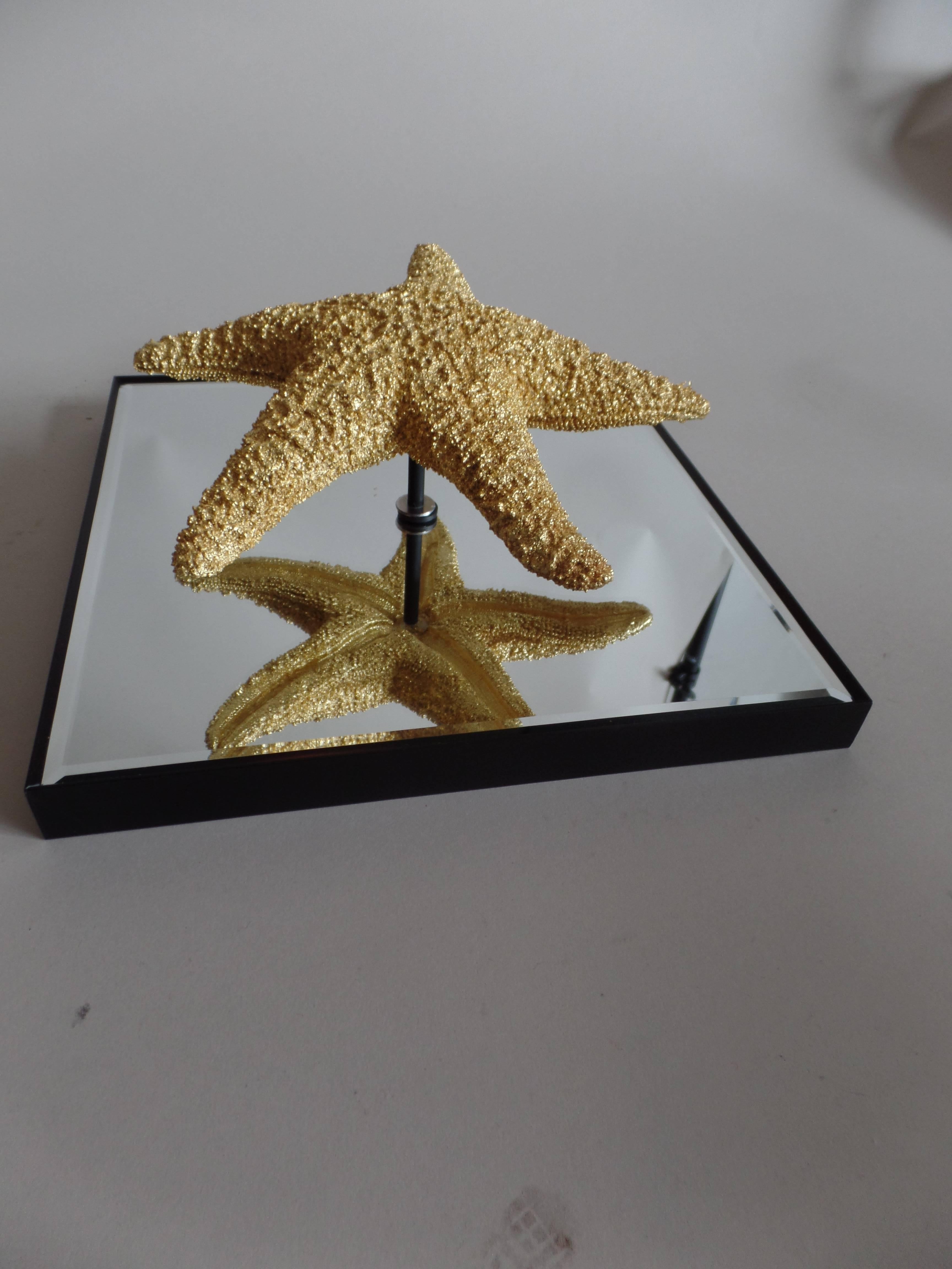 24 Starfish and Mirror Wall Decorations In Excellent Condition For Sale In New York, NY