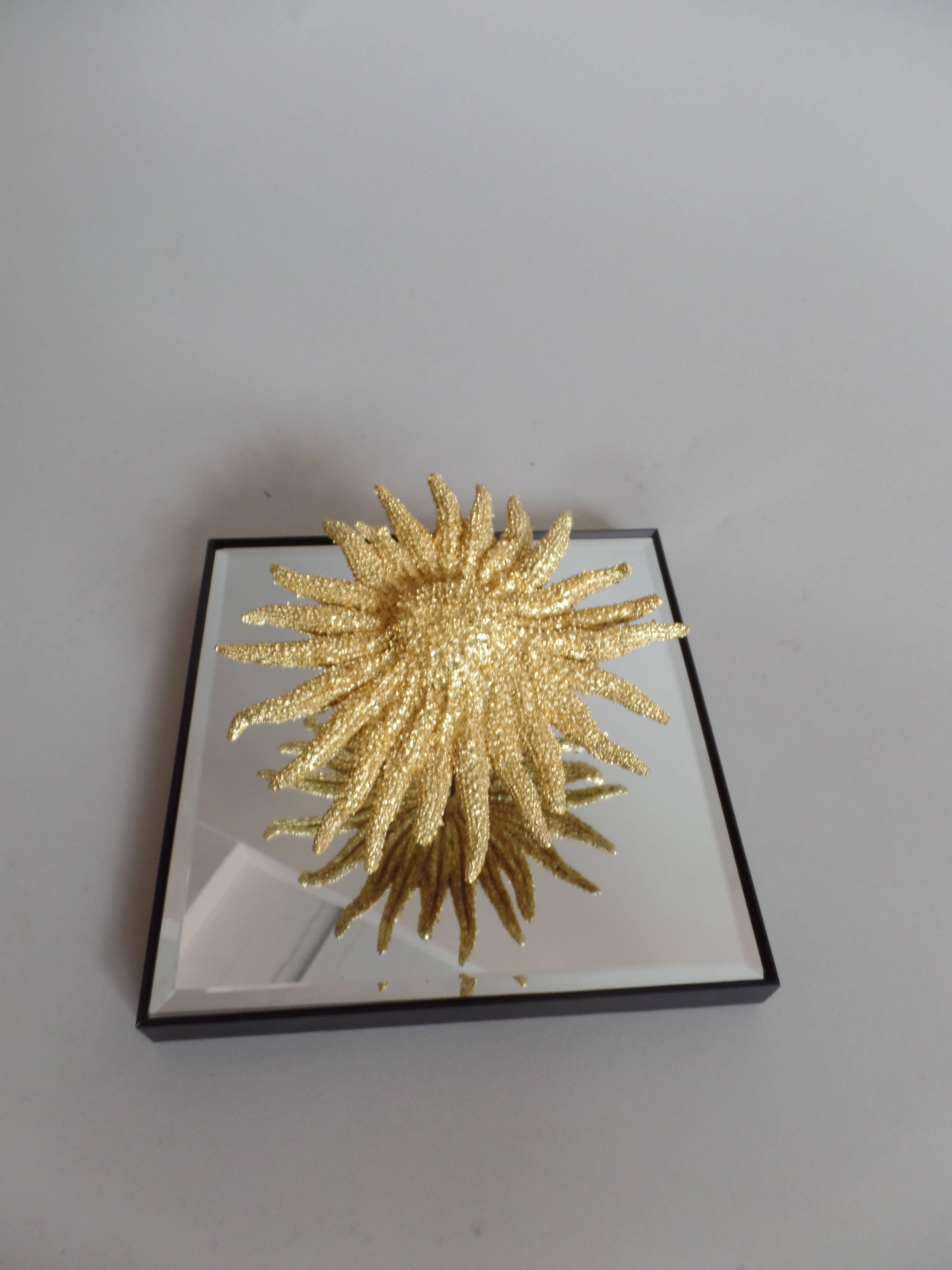 24 Décorations murales étoile de mer et miroir en vente 2
