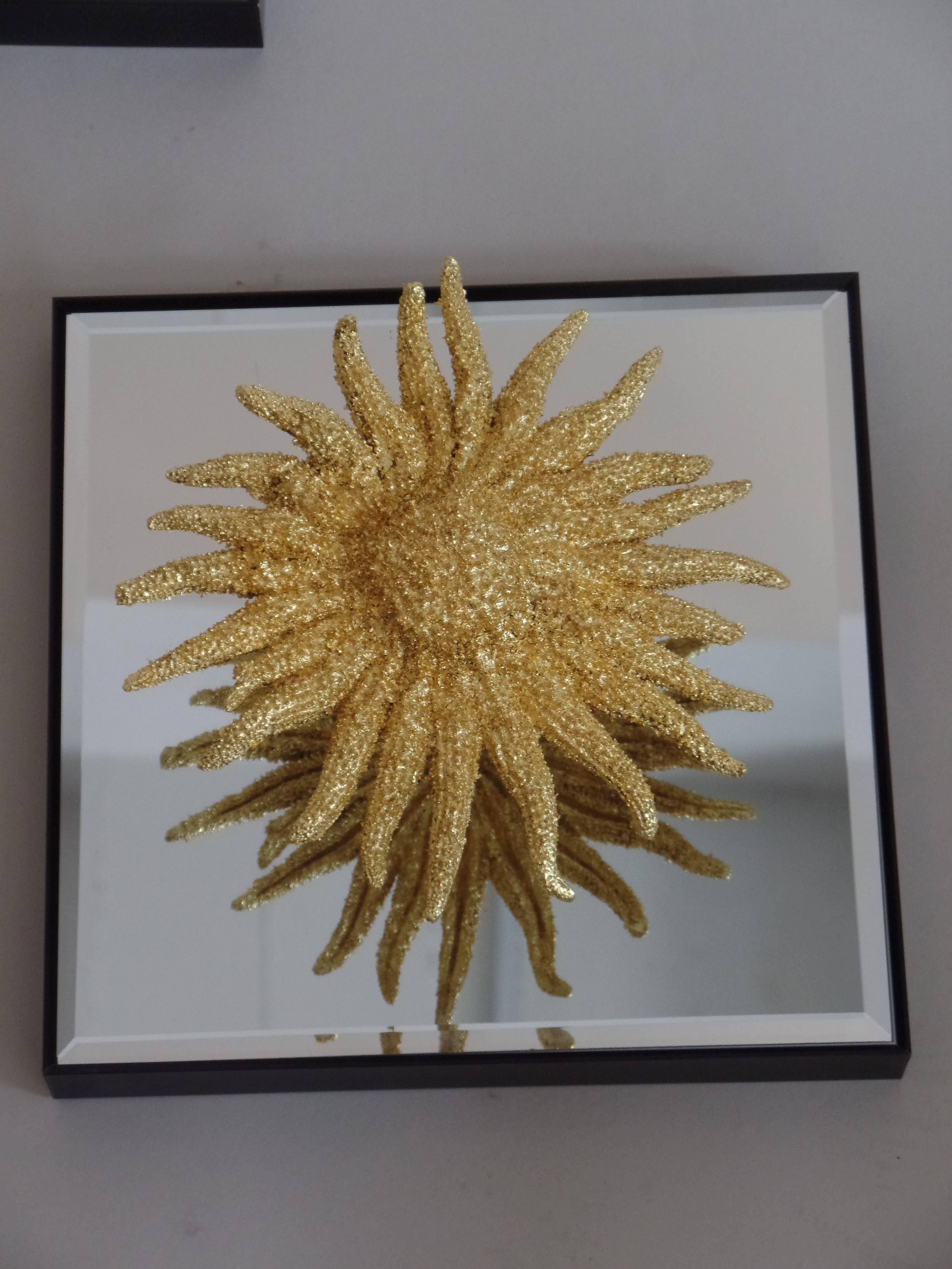 24 Starfish and Mirror Wall Decorations For Sale 1