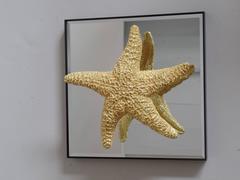 24 Starfish and Mirror Wall Decorations