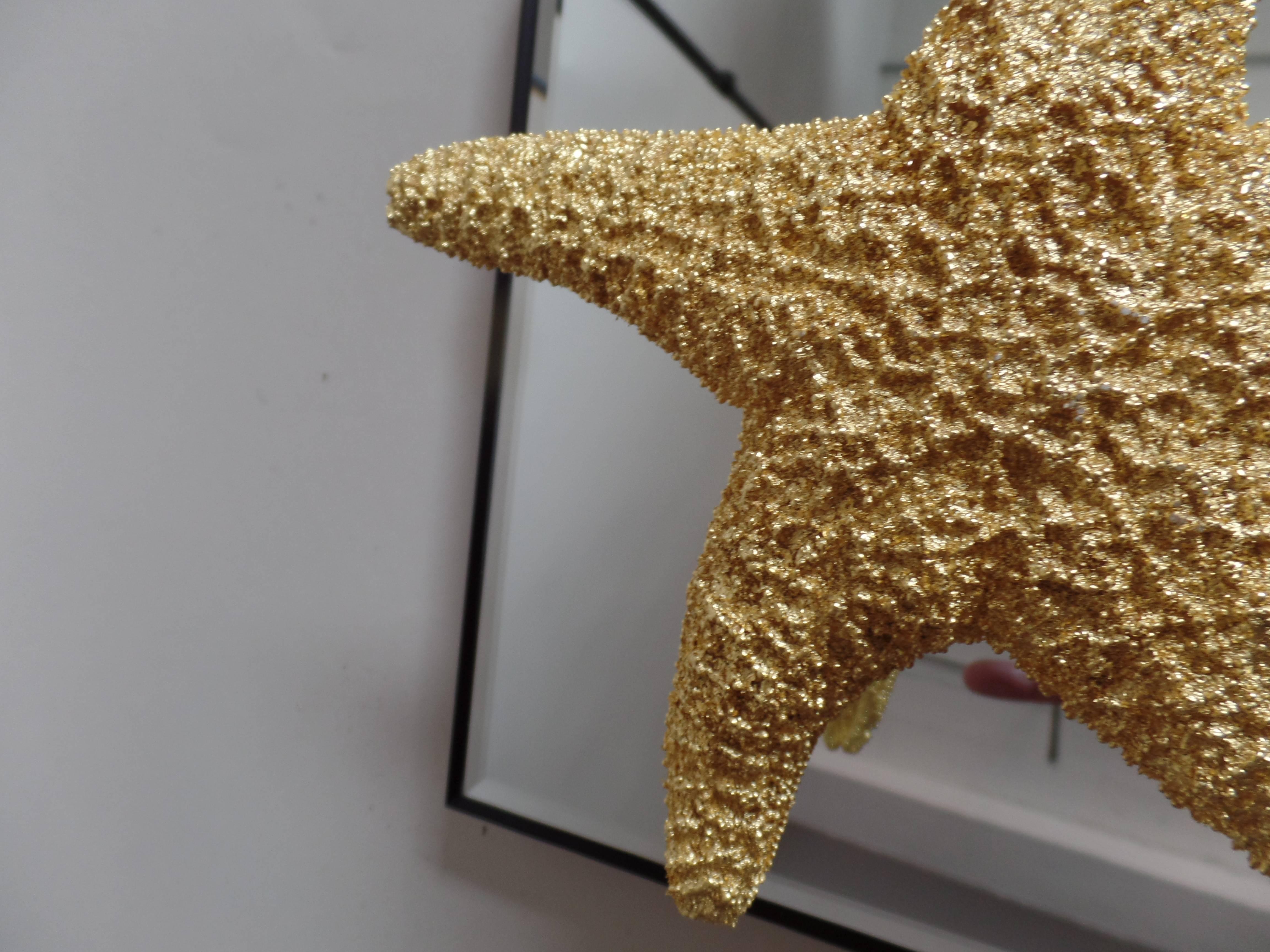 Contemporary 24 Starfish and Mirror Wall Decorations For Sale