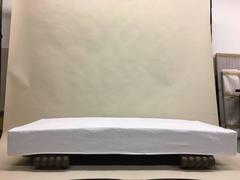 French Modern Neoclassical/ Art Deco Carved Daybed Single Bed by Christian Krass