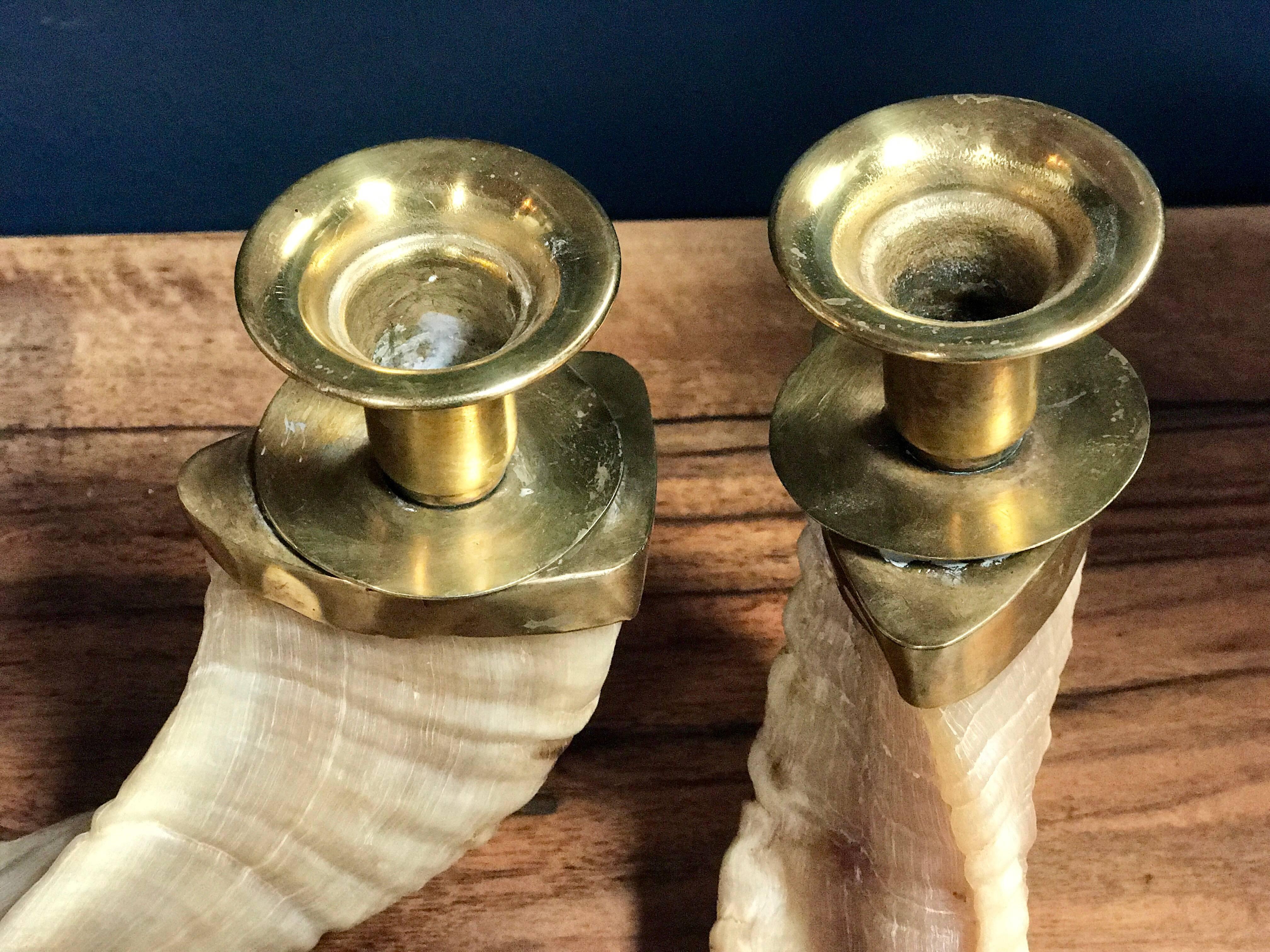 Large Horns Candlestick Holders with Brass 2