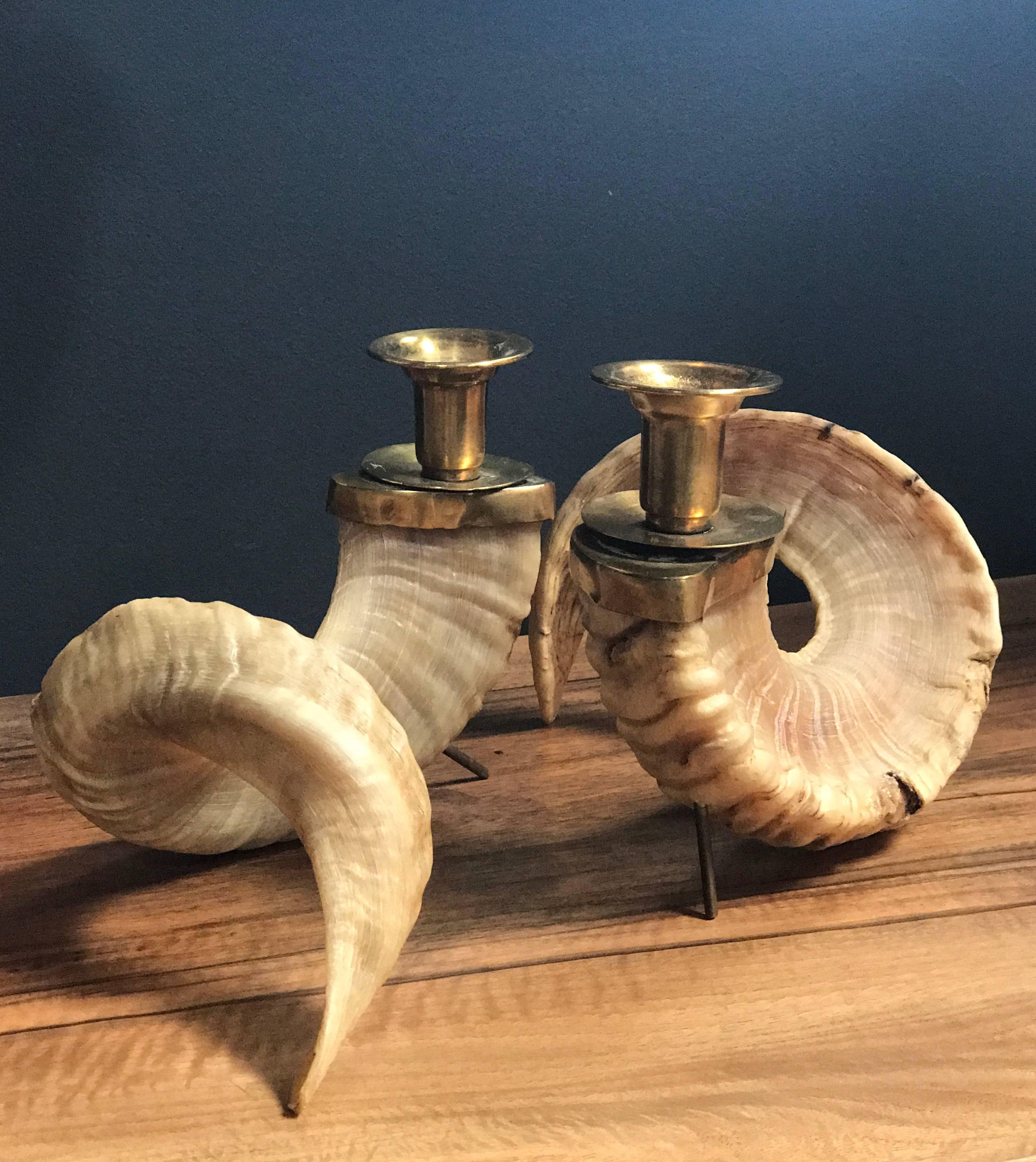 Pair of large ram horns and brass candlesticks.