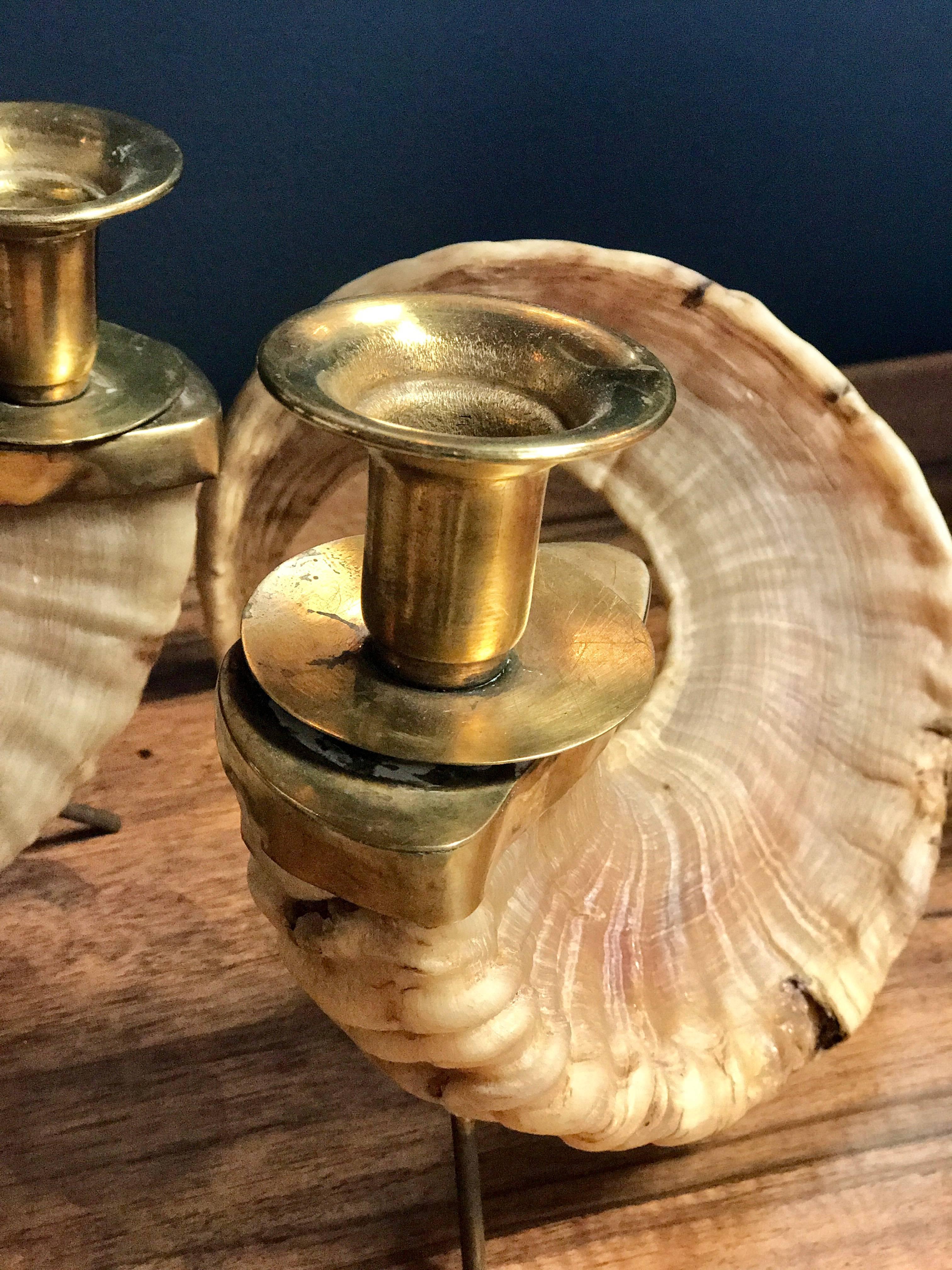 Italian Large Horns Candlestick Holders with Brass